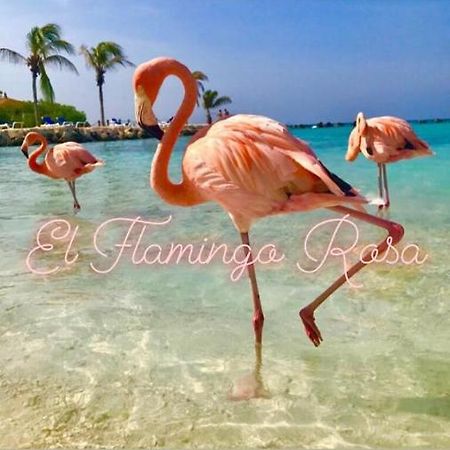 Casa Vacanze El Flamingo Rosa Cod Iun P5386 Iglesias Ngoại thất bức ảnh