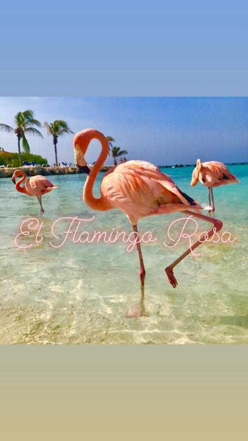 Casa Vacanze El Flamingo Rosa Cod Iun P5386 Iglesias Ngoại thất bức ảnh